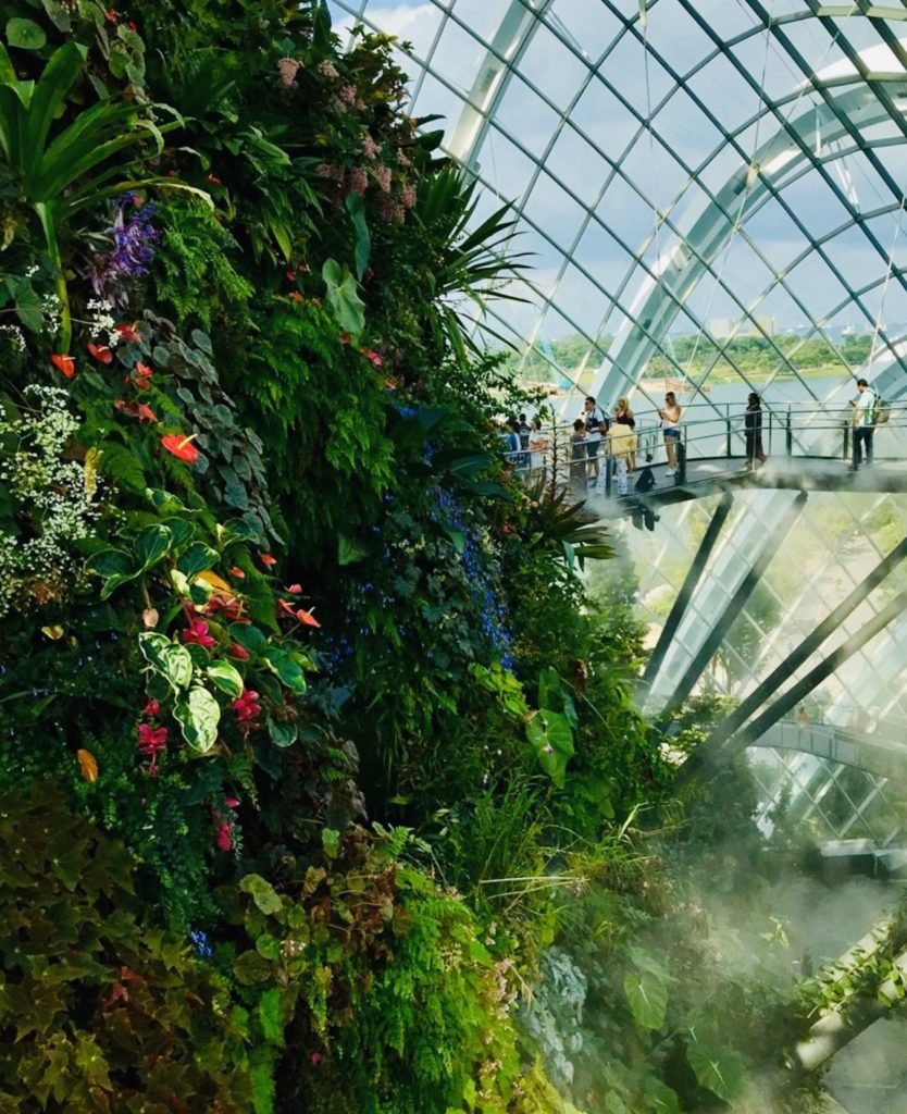 Gardens By The Bay Singapore