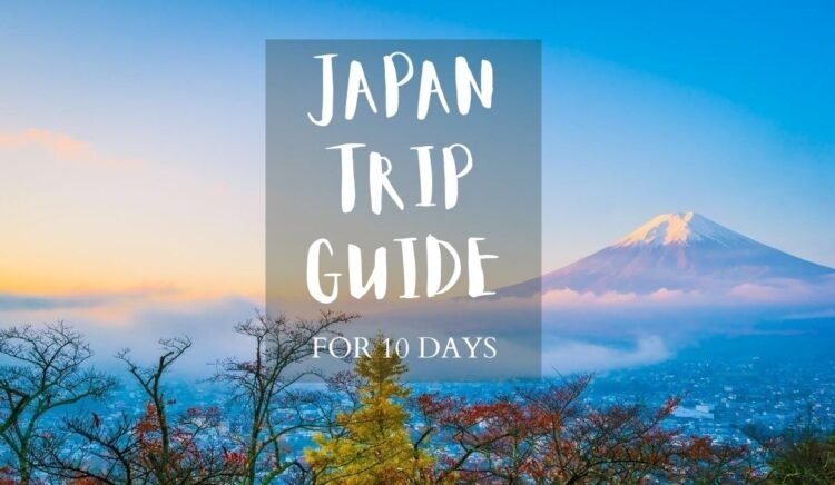 A Guide to 10 Days in Japan