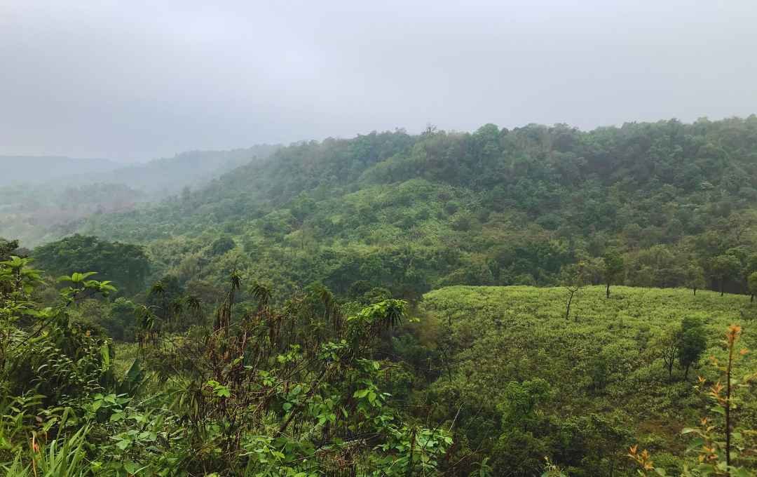 How to Spend a Week in Meghalaya - Meghalaya 7 Days Itinerary