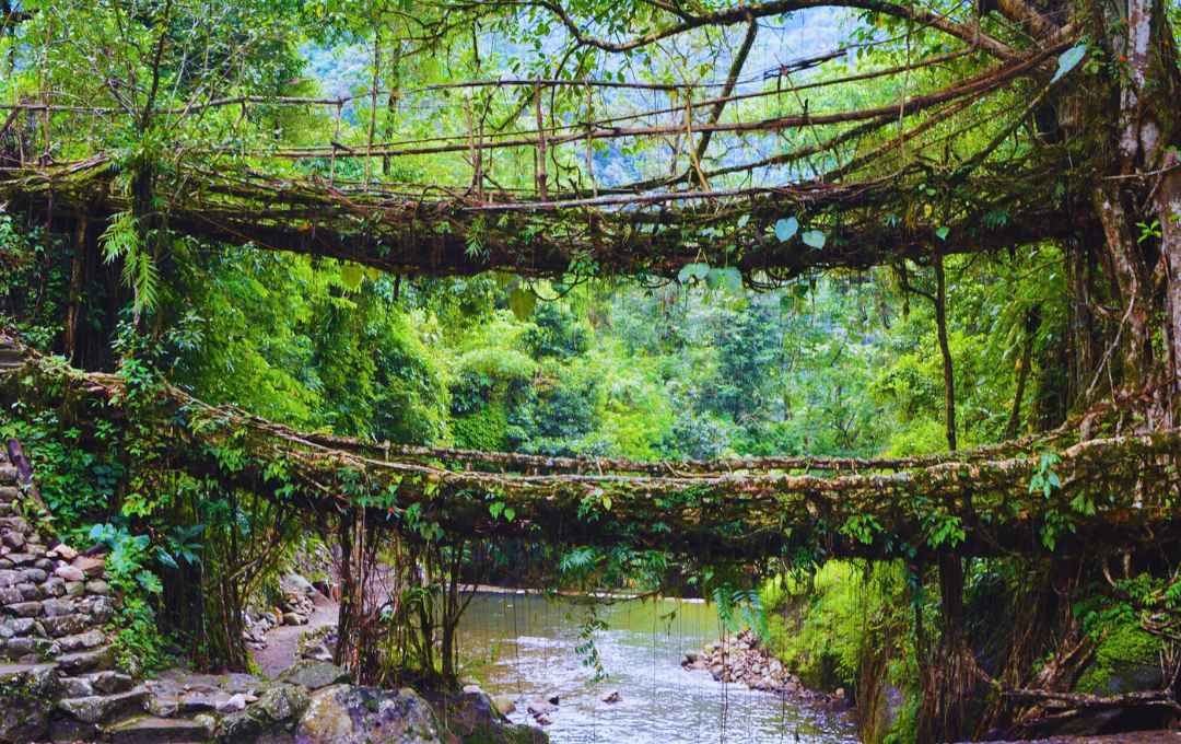 Double Decker Bridge - Cherrapunji