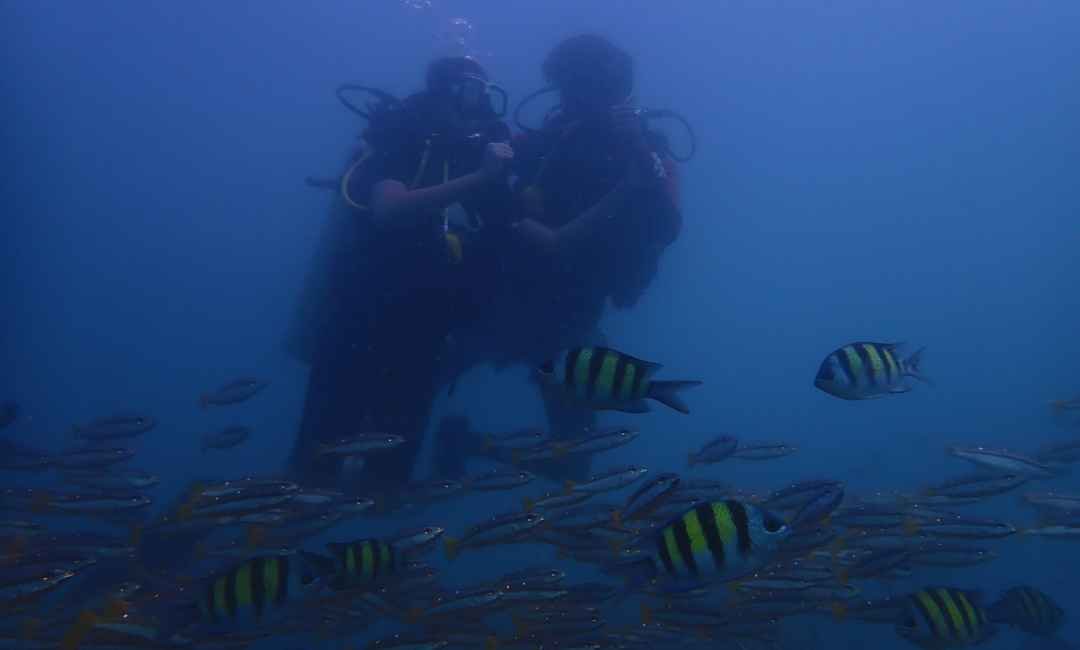 Scuba Diving in Havelock Islands